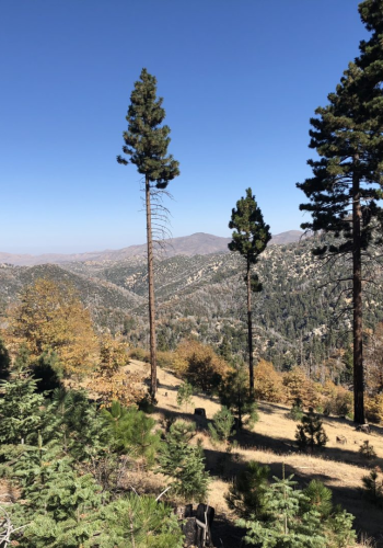 Top 8 Getaway House Options In The Us-3